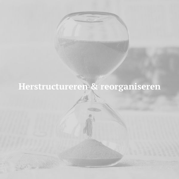 chogori-cases-herstructureren-en-reorganisaties